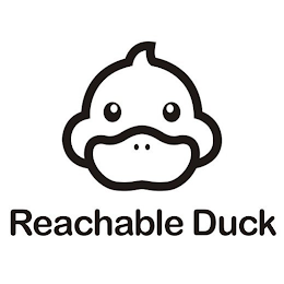 REACHABLE DUCK