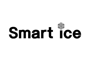 SMART ICE