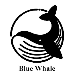 BLUE WHALE