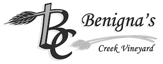 BC BENIGNA'S CREEK VINEYARD