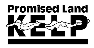 PROMISED LAND KELP