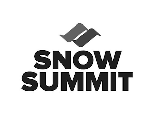 SS SNOW SUMMIT