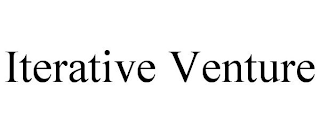 ITERATIVE VENTURE