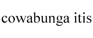 COWABUNGA ITIS