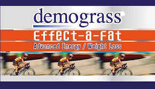 DEMOGRASS EFFECT-A-FAT ADVANCED ENERGY / WEIGHT LOSS