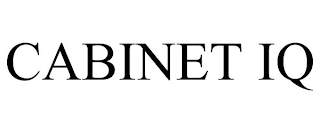 CABINET IQ