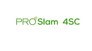 PRO SLAM 4SC