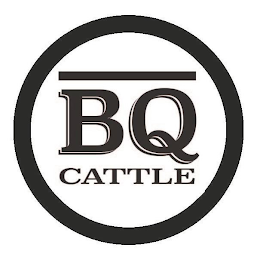 BQ CATTLE