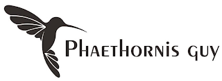 PHAETHORNIS GUY