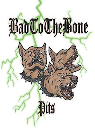 BADTOTHEBONE PITS