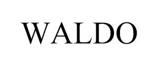 WALDO