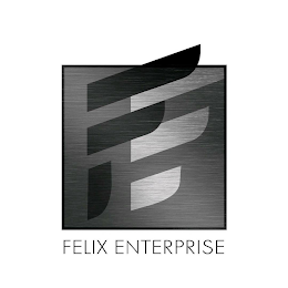 FE FELIX ENTERPRISE