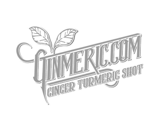 GINMERIC.COM GINGER TURMERIC SHOT