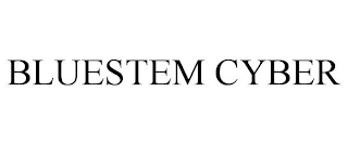 BLUESTEM CYBER