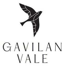 GAVILAN VALE