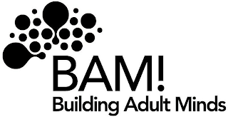 BAM! BUILDING ADULT MINDS