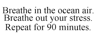 BREATHE IN THE OCEAN AIR. BREATHE OUT YOUR STRESS. REPEAT FOR 90 MINUTES.