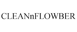 CLEANNFLOWBER