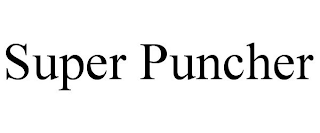 SUPER PUNCHER