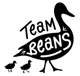 TEAM BEANS