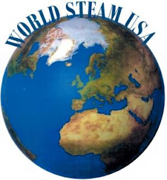 WORLD STEAM USA