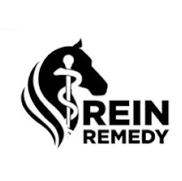 REIN REMEDY