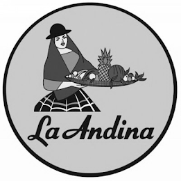 LA ANDINA