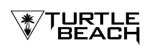 TURTLE BEACH