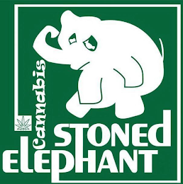 STONED ELEPHANT CANNABIS