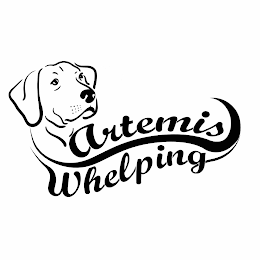 ARTEMIS WHELPING