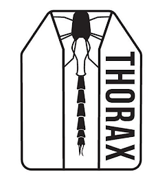 THORAX