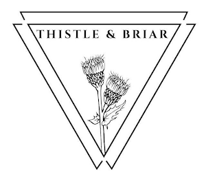 THISTLE & BRIAR