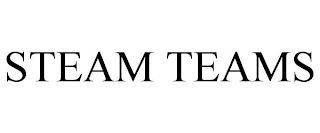 STEAM TEAMS