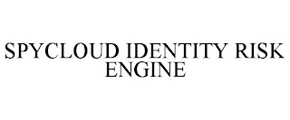 SPYCLOUD IDENTITY RISK ENGINE