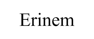 ERINEM