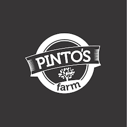 PINTO'S FARM