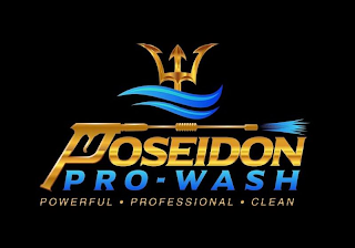 POSEIDON PRO-WASH POWERFUL PROFESSIONAL CLEAN