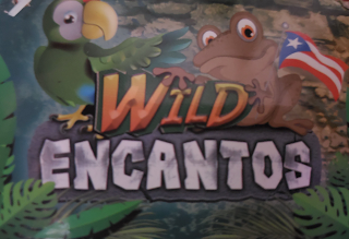 WILD ENCANTOS