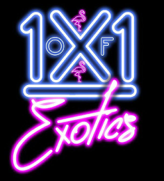 1X1 OF EXOTICS