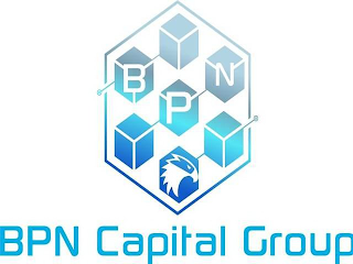 BPN CAPITAL GROUP