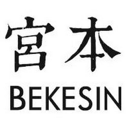 BEKESIN