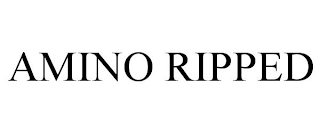 AMINO RIPPED