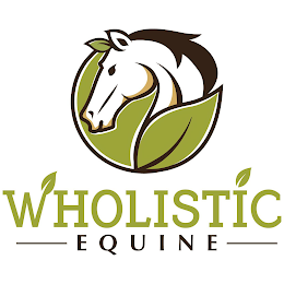 WHOLISTIC EQUINE