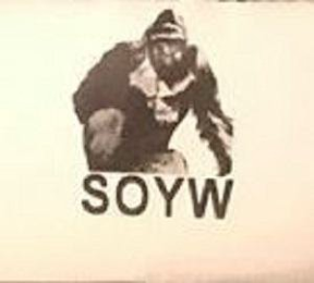 SOYW