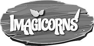 IMAGICORNS