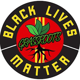 BLACK LIVES MATTER GRASSROOTS