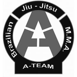 A BRAZILIAN JIU-JITSU M.M.A. A-TEAM