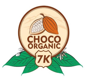 CHOCO ORGANIC 7K