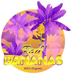 RAD BANANAS 100% ORGANIC