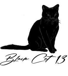 BLACK CAT 13